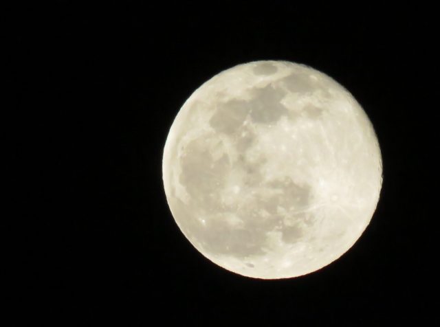 Wolf Moon