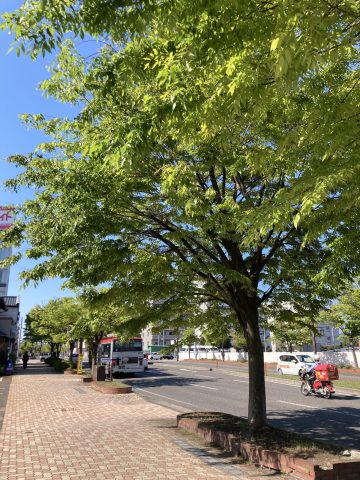 新潟ならではの絶景