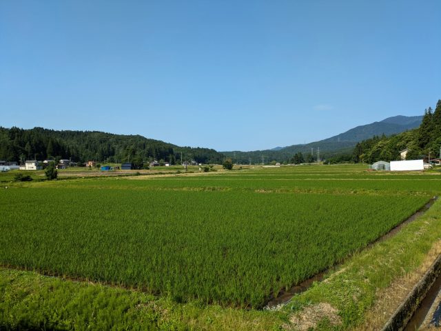 みどりいろ