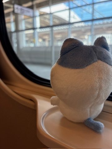 いざっ、デッパツ！！